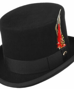 Feather Decorated Black Top Hat